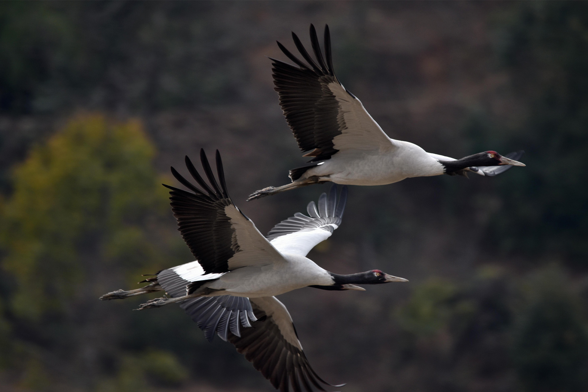 Hiking & Birding Tours