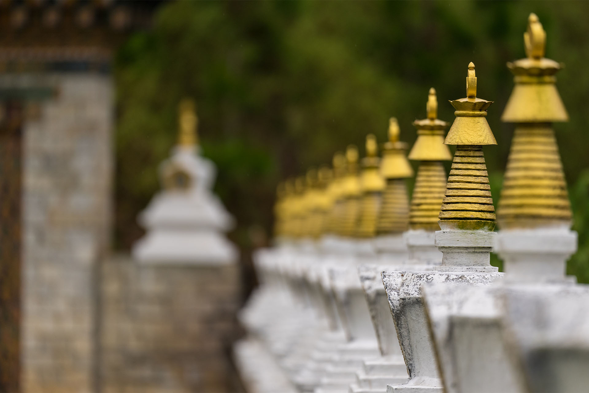 10 Nights &  11 Days in Bhutan